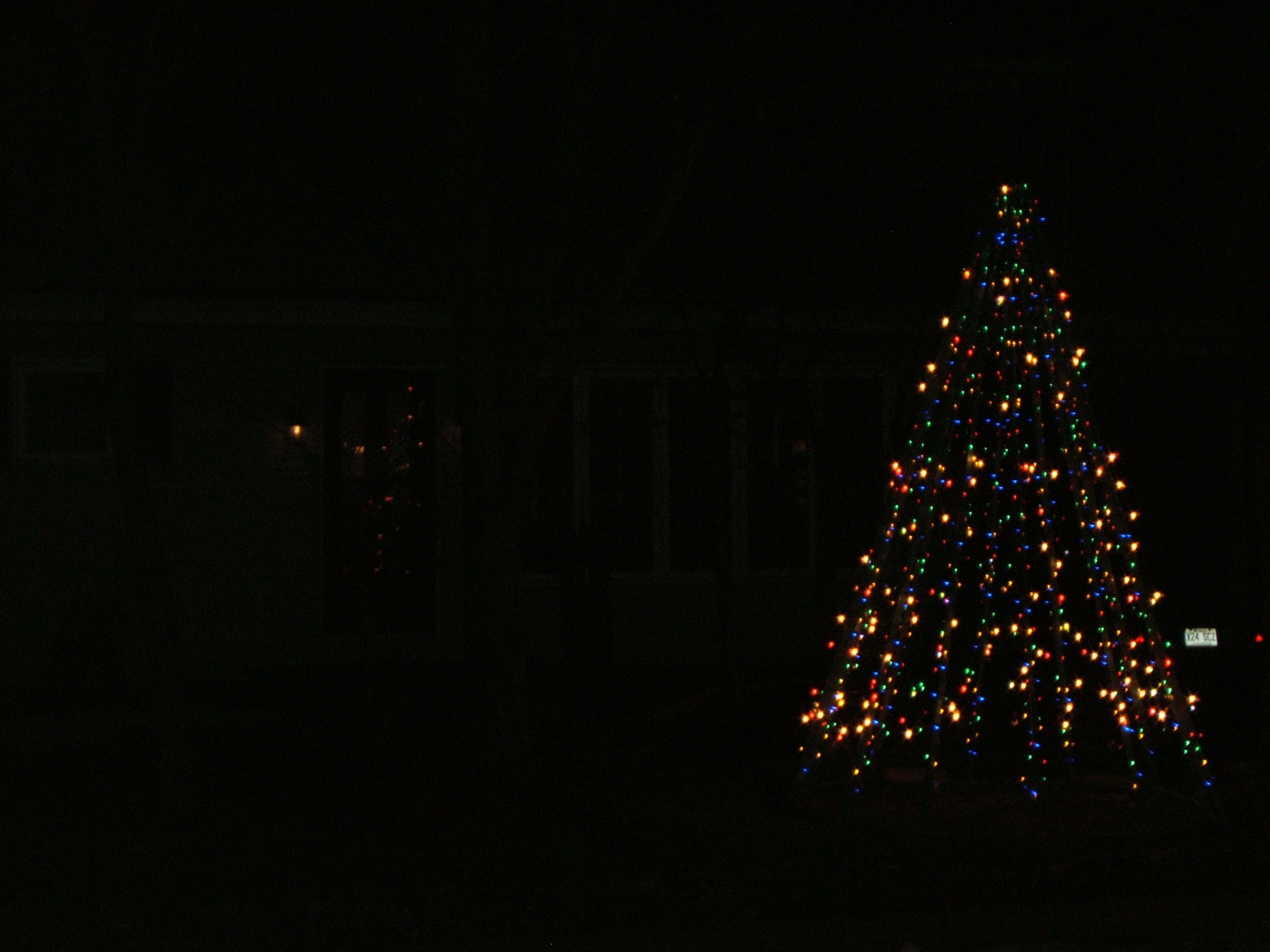 2022 Christmas tree